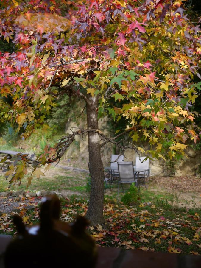Mas Franch Διαμέρισμα San Miguel de la Pineda Εξωτερικό φωτογραφία