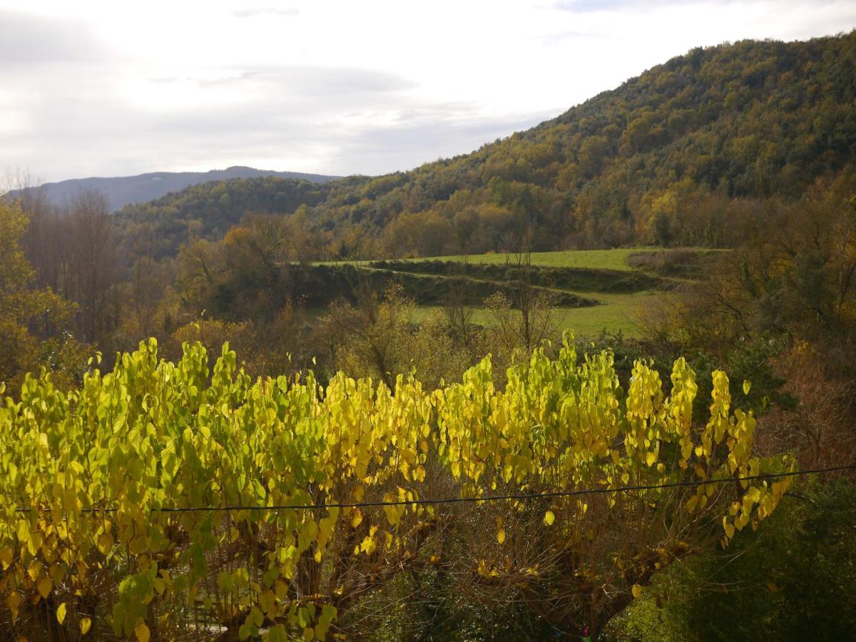 Mas Franch Διαμέρισμα San Miguel de la Pineda Εξωτερικό φωτογραφία