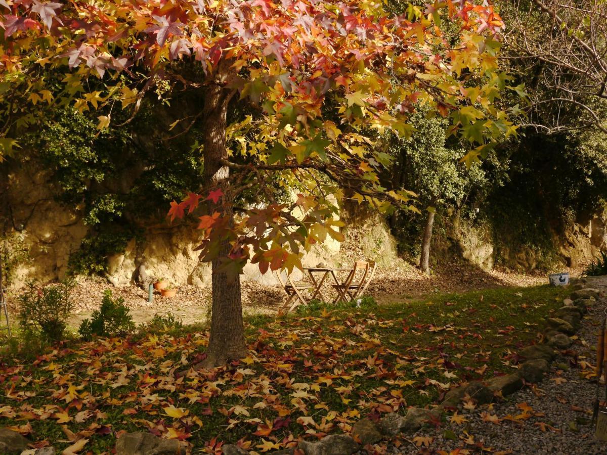 Mas Franch Διαμέρισμα San Miguel de la Pineda Εξωτερικό φωτογραφία